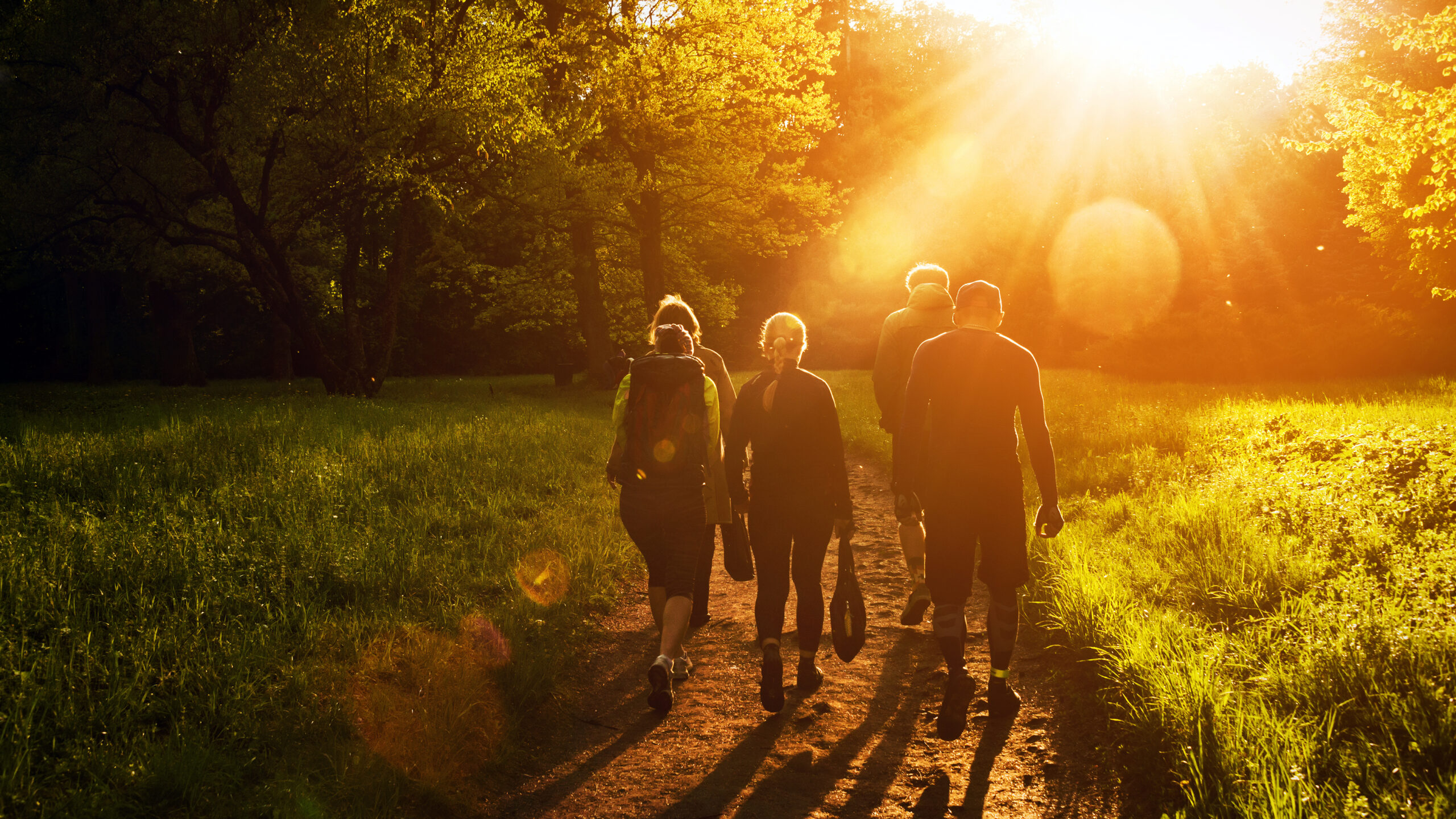 in de natuur is het omgaan met stress een stuk gemakkelijker, bewegen helpt bij het ontladen van spanning