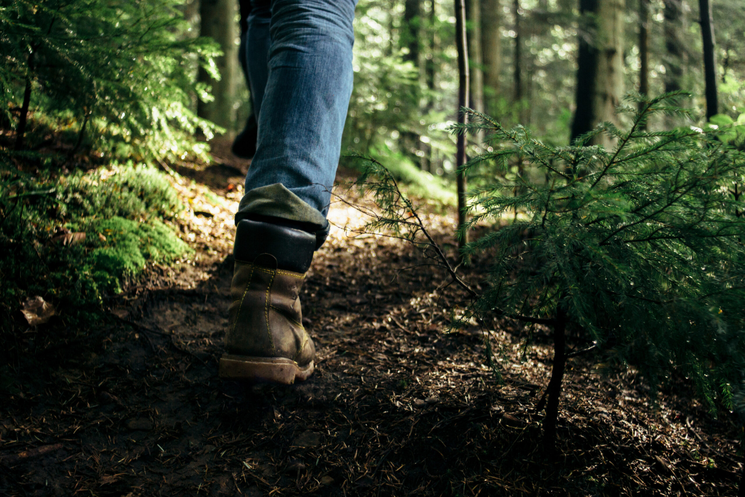 wandelcoaching is gezond tegen stress